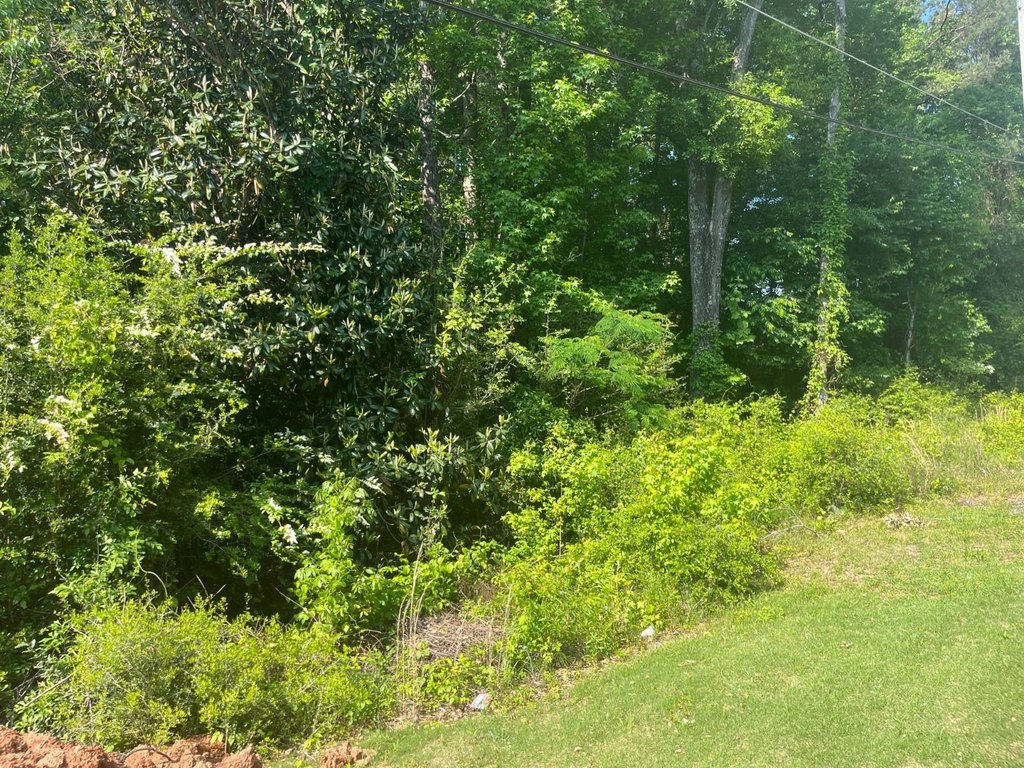 Picture 4