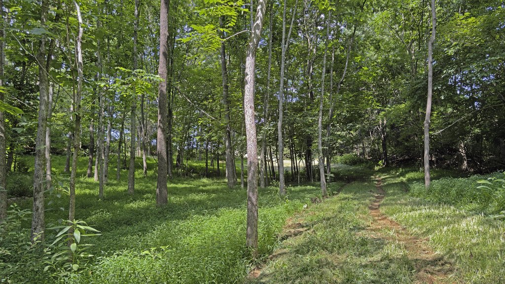 Picture 12