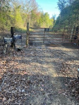 81.57 Acres Wooded Land