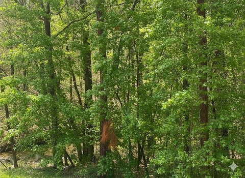 LAND - Broken Bow, OK