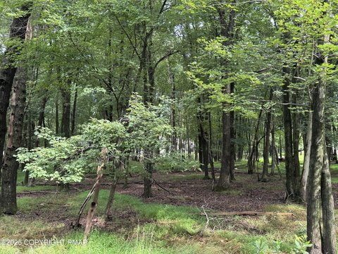 Land, Albrightsville, PA