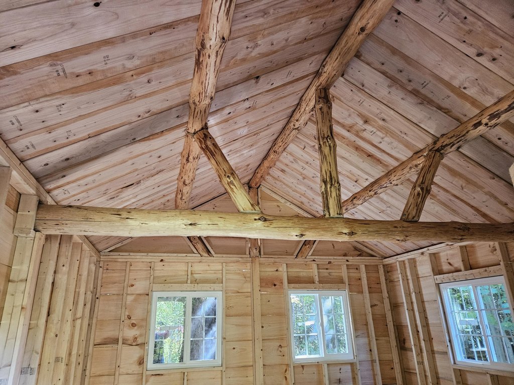 Picture 2