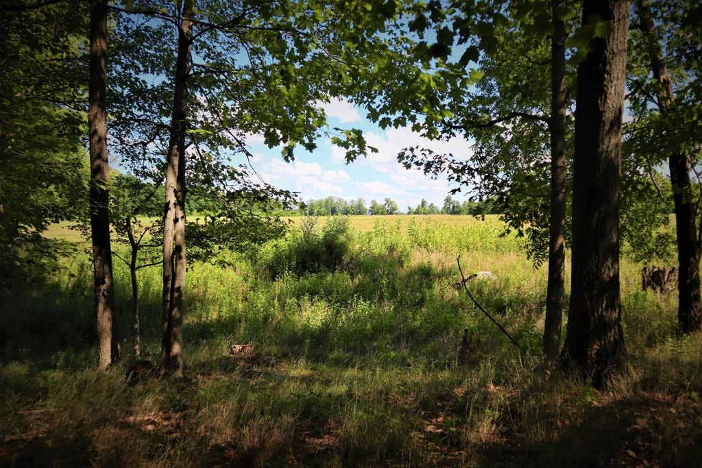 Picture 39