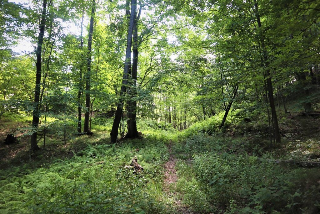 Picture 30