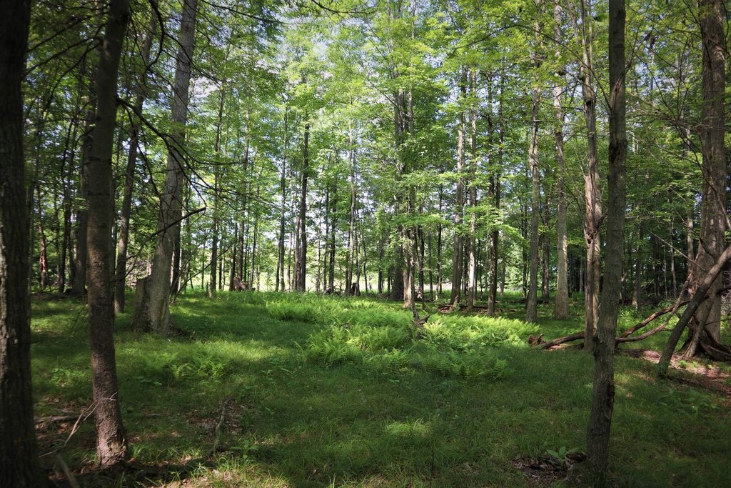 Picture 31