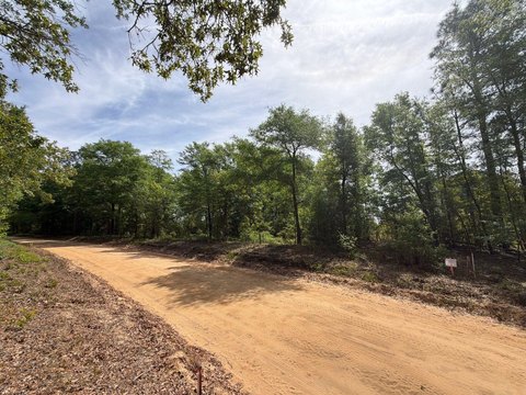 LAND - Salley, SC