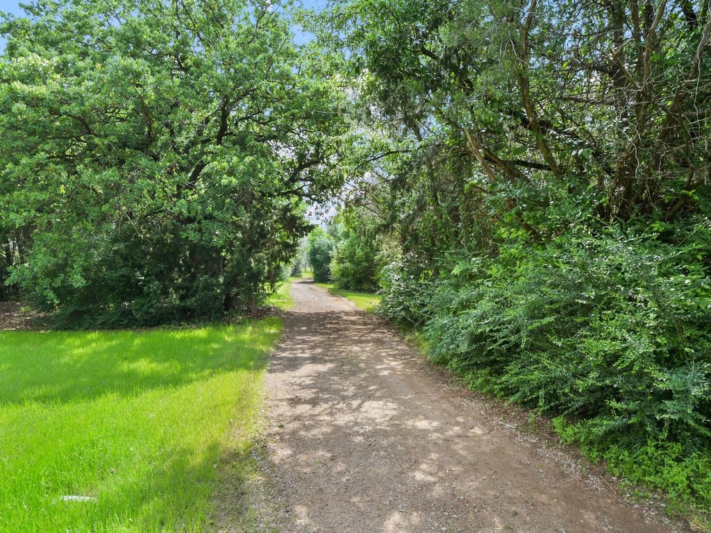 Picture 17