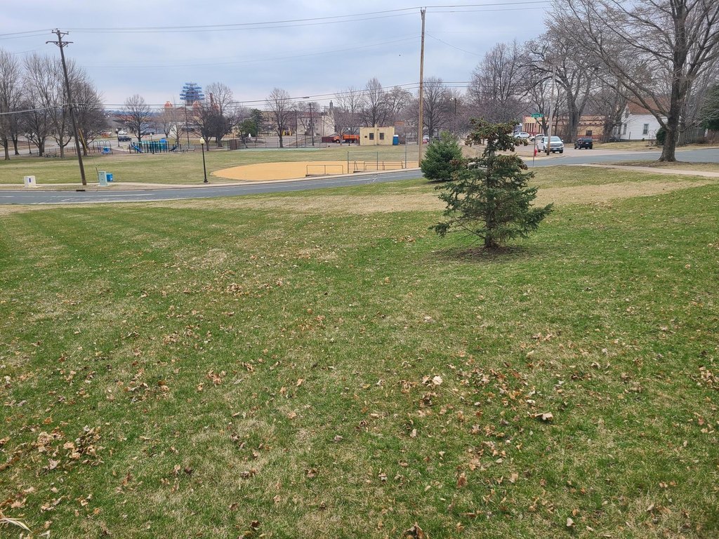 Picture 3