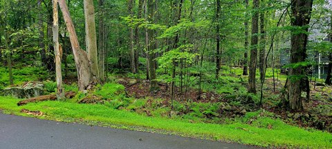Half-Acre Lot in Big Bass Lake