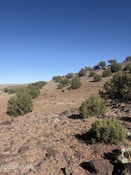 LAND - Concho, AZ
