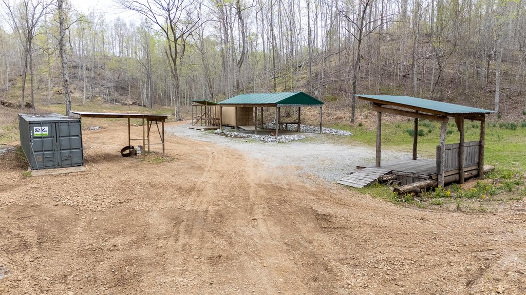 Picture 6