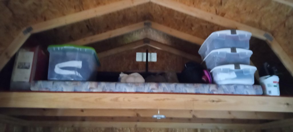 Picture 4
