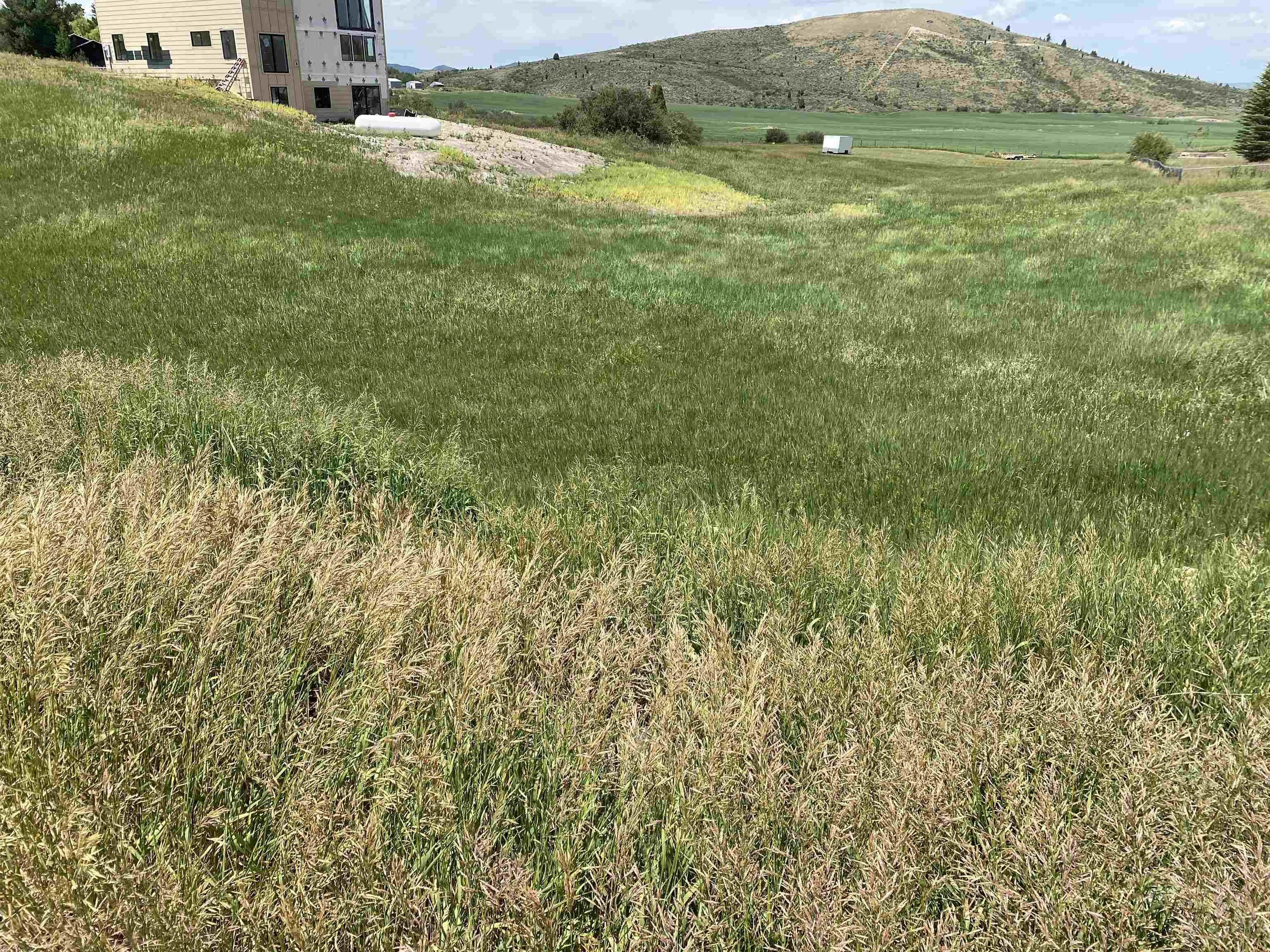 Residential Land with Mountain Views