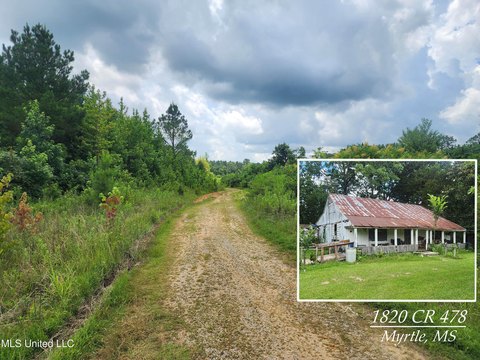 Versatile Acreage with Income Potential