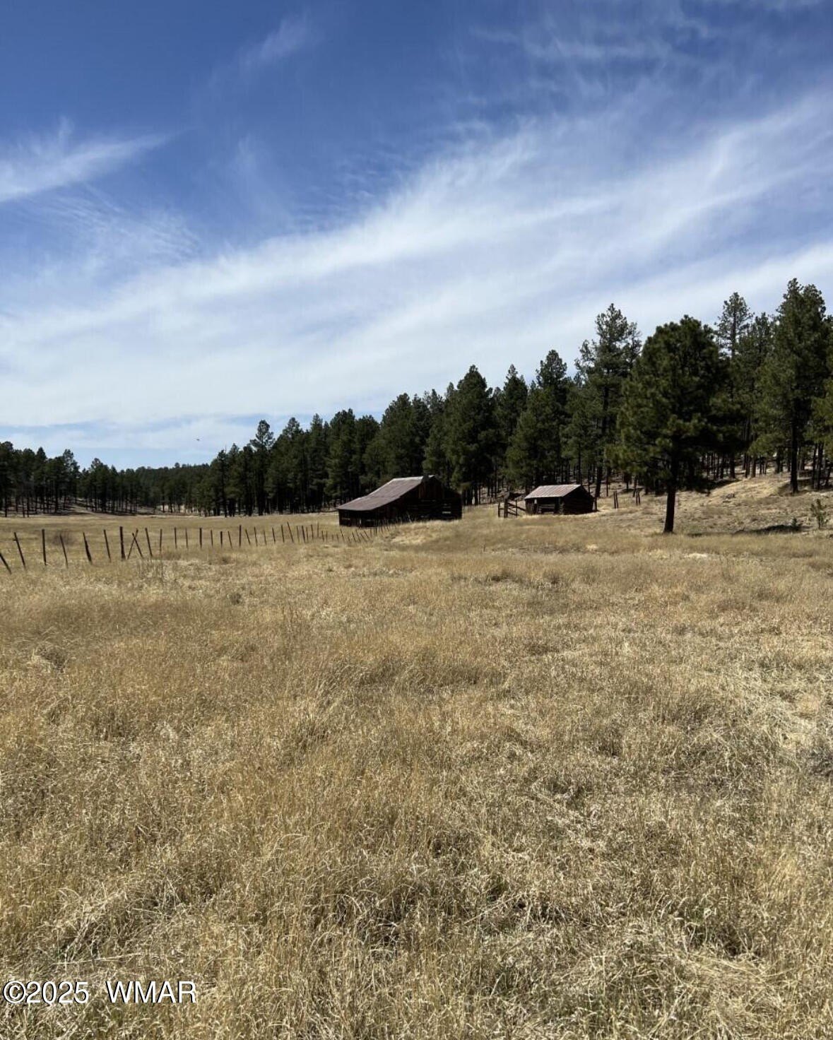 7.7 Acres in Alpine, AZ