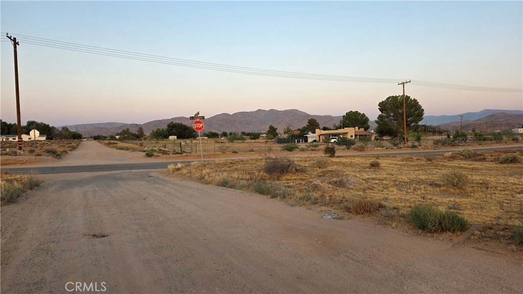 Picture 6