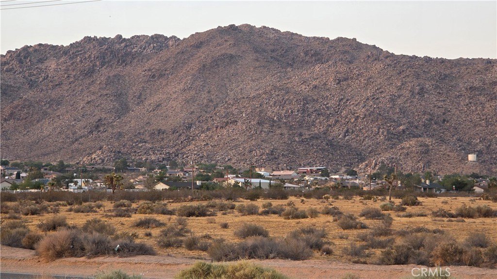 Picture 8