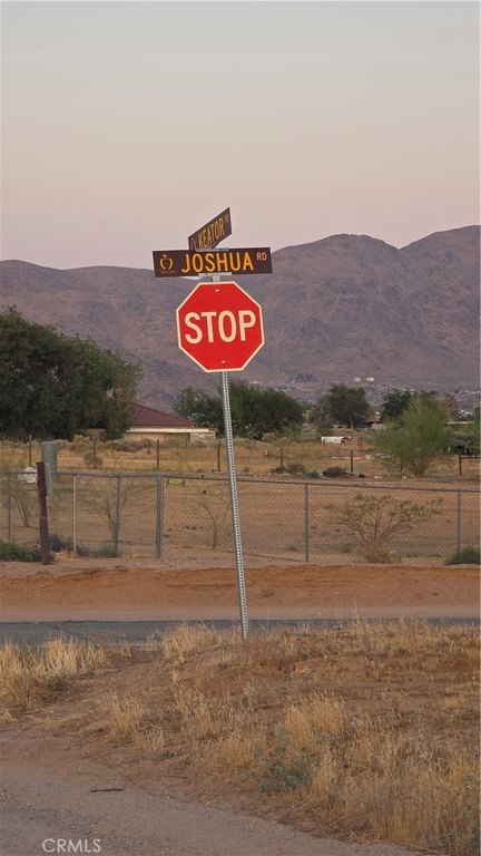 Picture 4