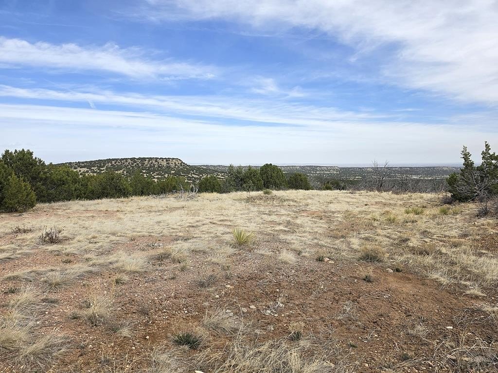 Picture 18