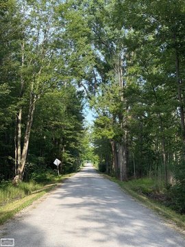 Wooded Farmland Parcel