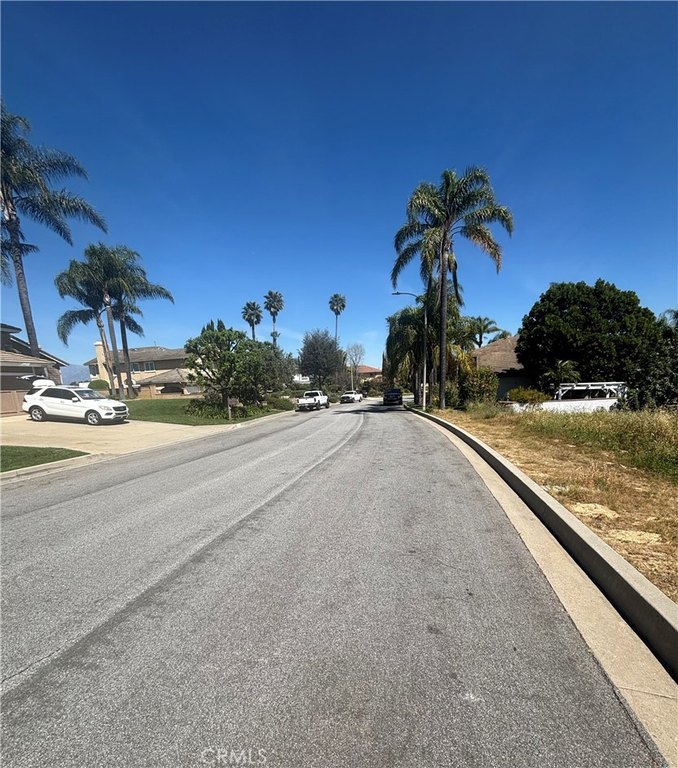 Picture 27