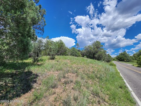 Land Overlooking Sapillo Creek