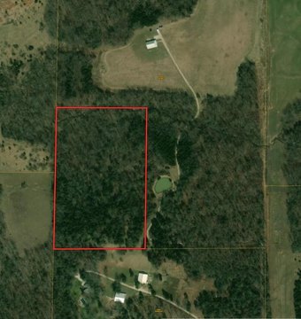 Marshfield Acreage: Build Your Dream