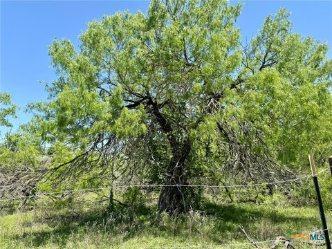 Spacious Land in Lockhart, TX