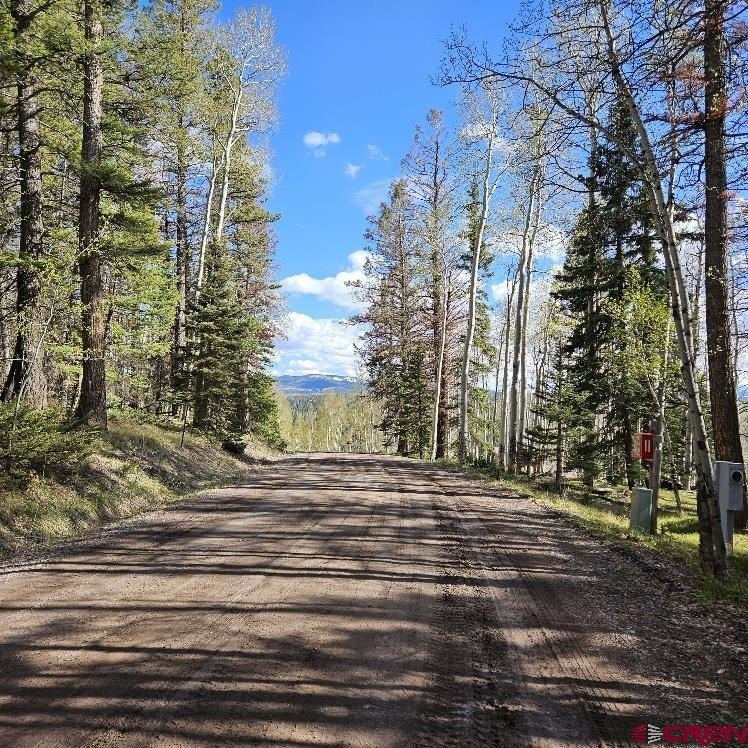 Land in Cimarron, Colorado
