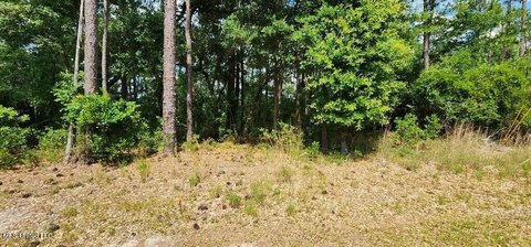 Residential Land in Diamondhead, MS