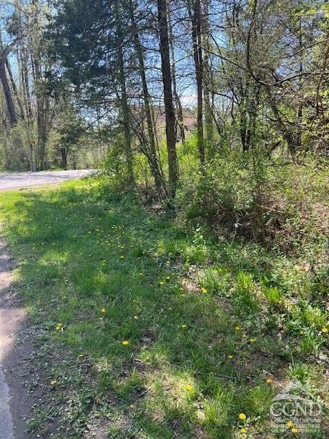 Wooded Lot in Sleepy Hollow
