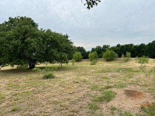 Picture 37
