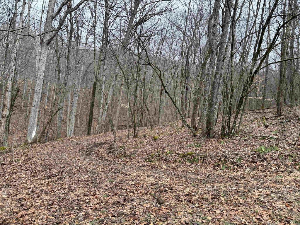 Picture 6