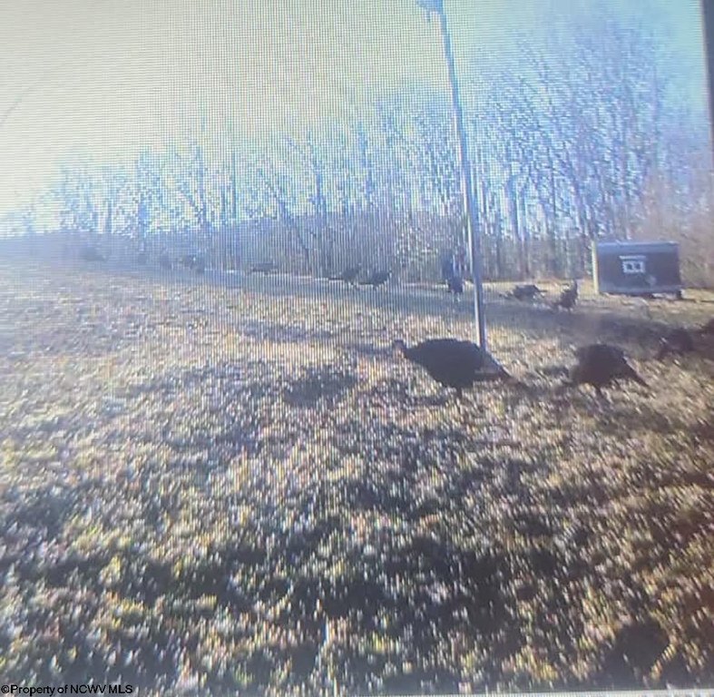 Picture 5