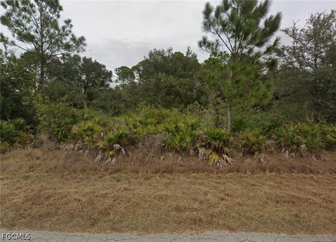 LAND - Alva, FL