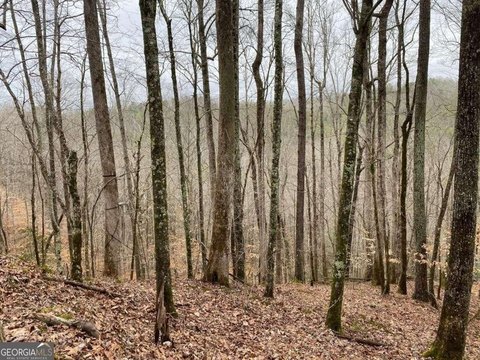 Ellijay, GA