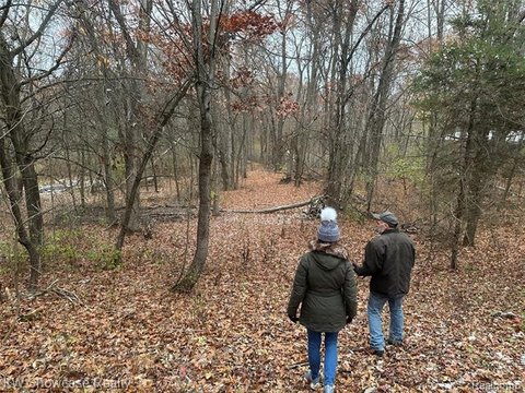 8.62 Acre Wooded Residential Lot