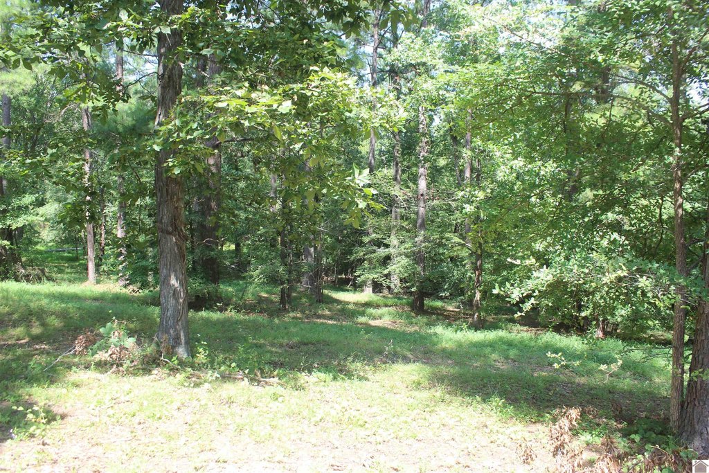 Picture 21