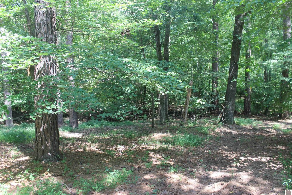 Picture 17