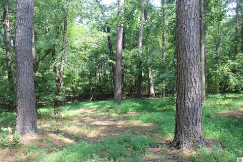 Waterfront Residential Lot