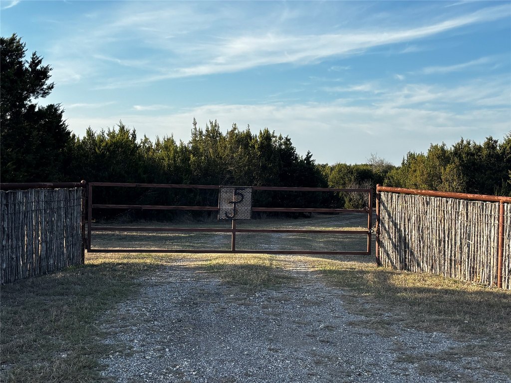 Picture 14