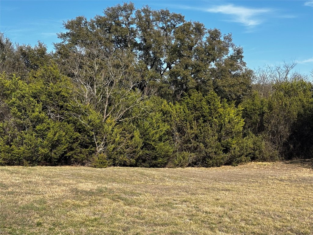 Picture 15