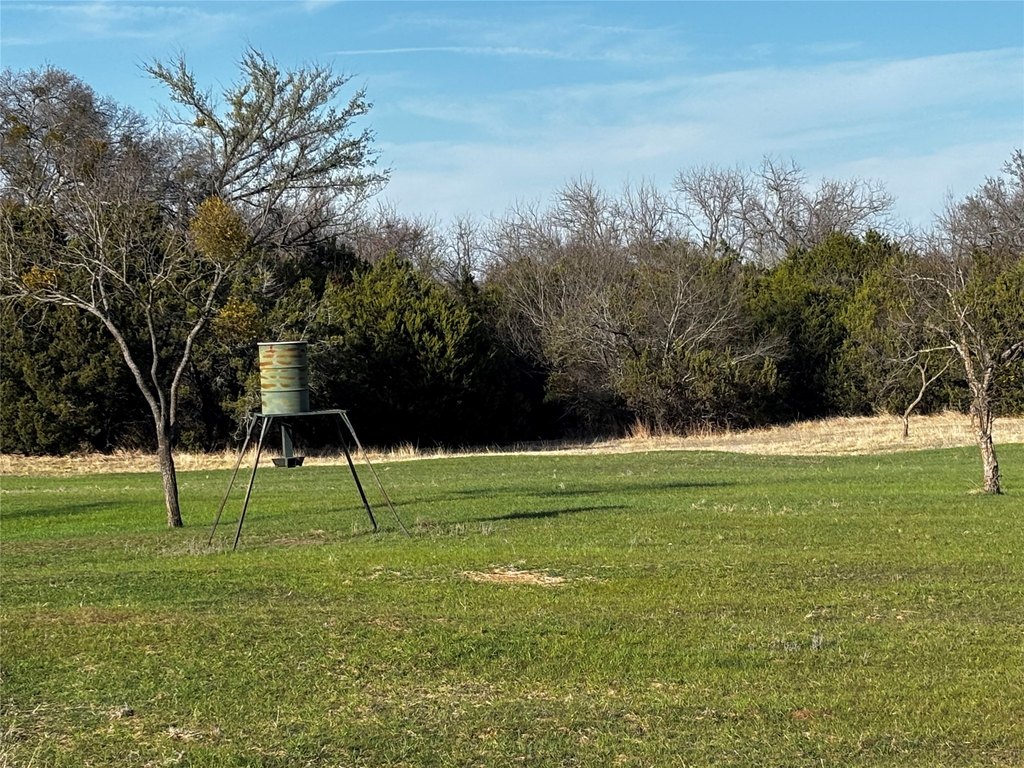 Picture 22