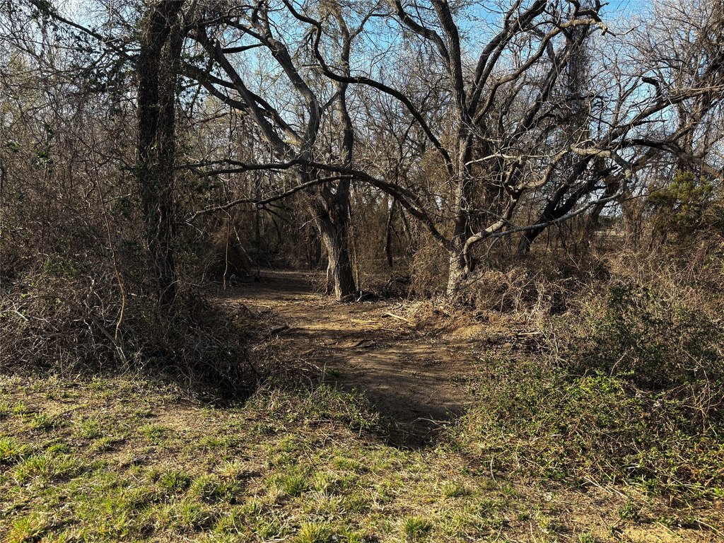Picture 25