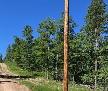 Wooded Acreage Near National Forest