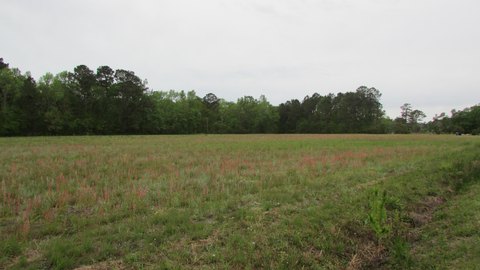 Johns Island Land Opportunity