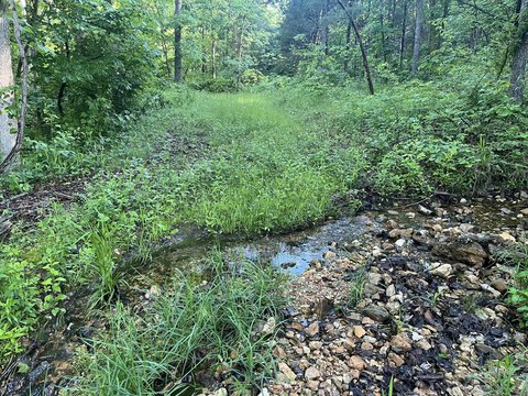 Ozark Mountain Hunting Land