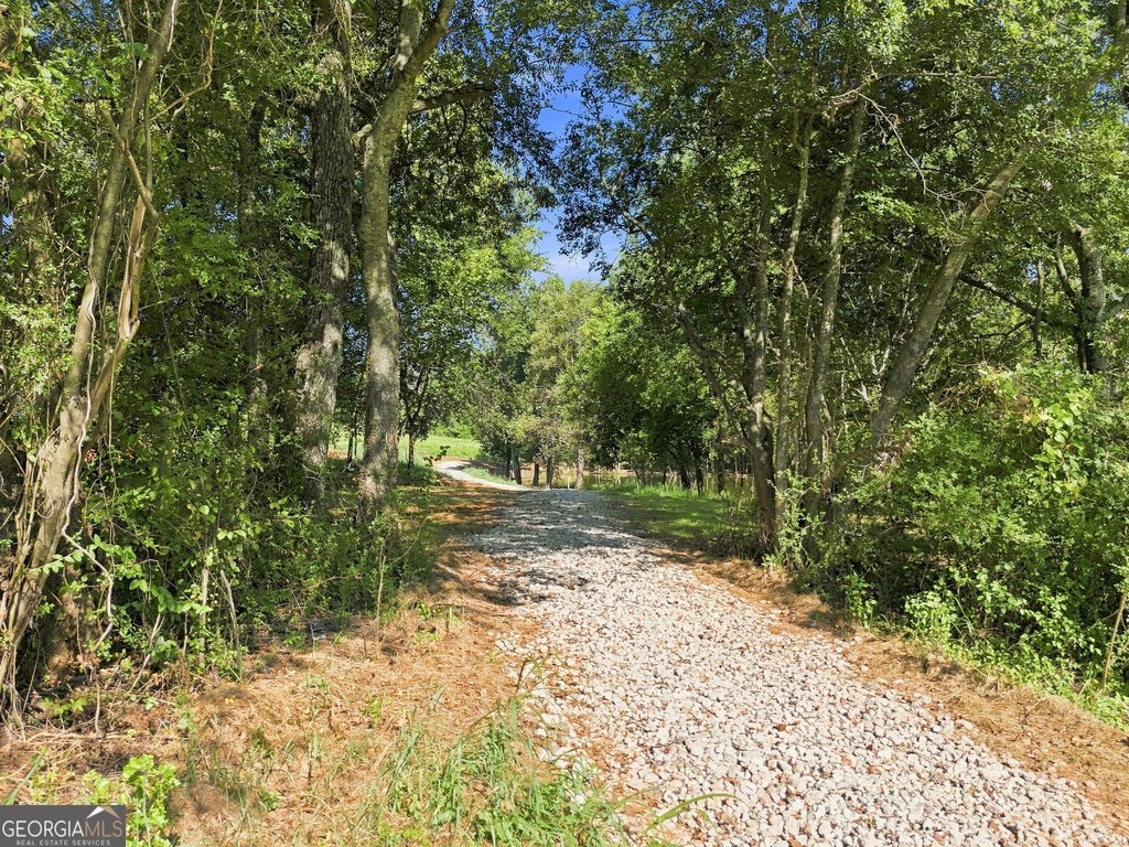 Picture 2