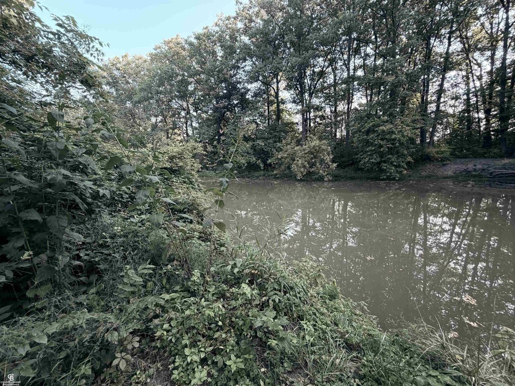 Picture 8