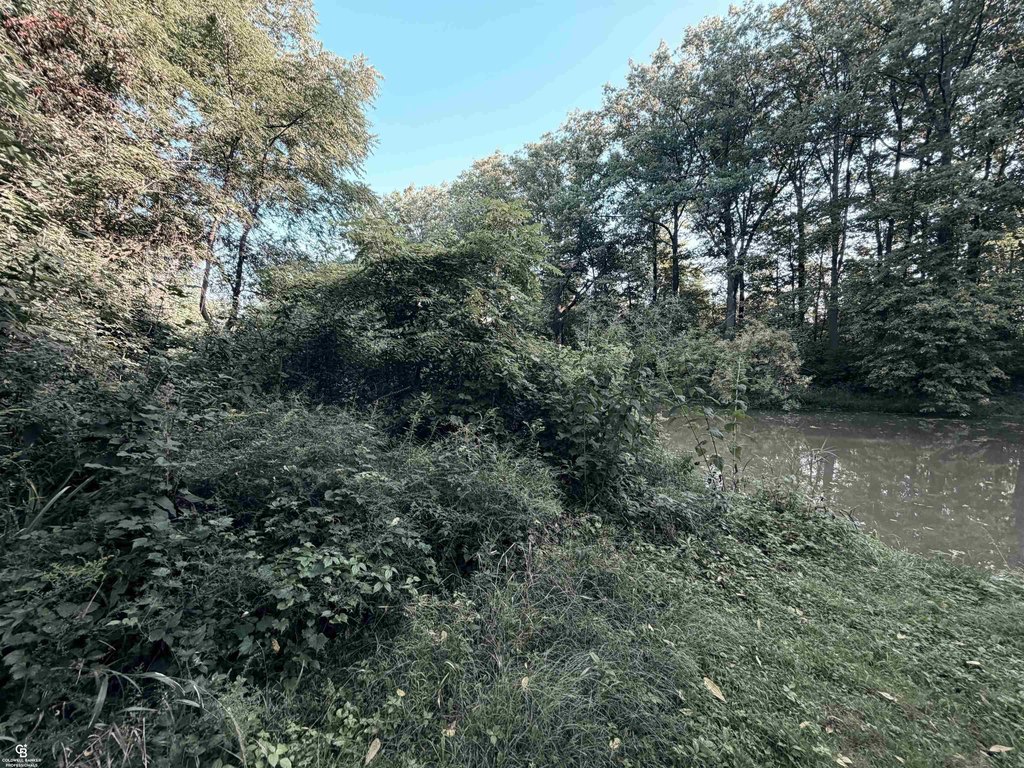 Picture 22